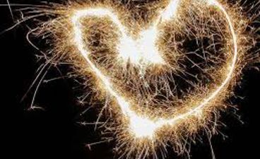 Et nærbilde av en edderkopp