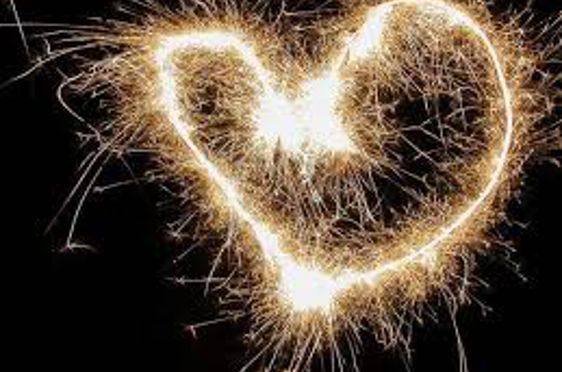 Et nærbilde av en edderkopp