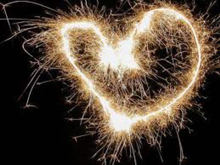 Et nærbilde av en edderkopp