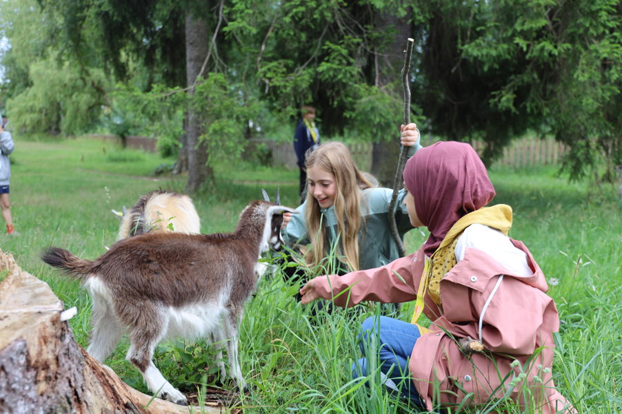 et par mennesker med dyr et par mennesker med dyr