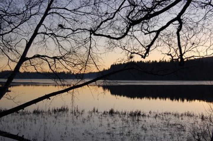 Sognsvann vinter Illustrasjon
