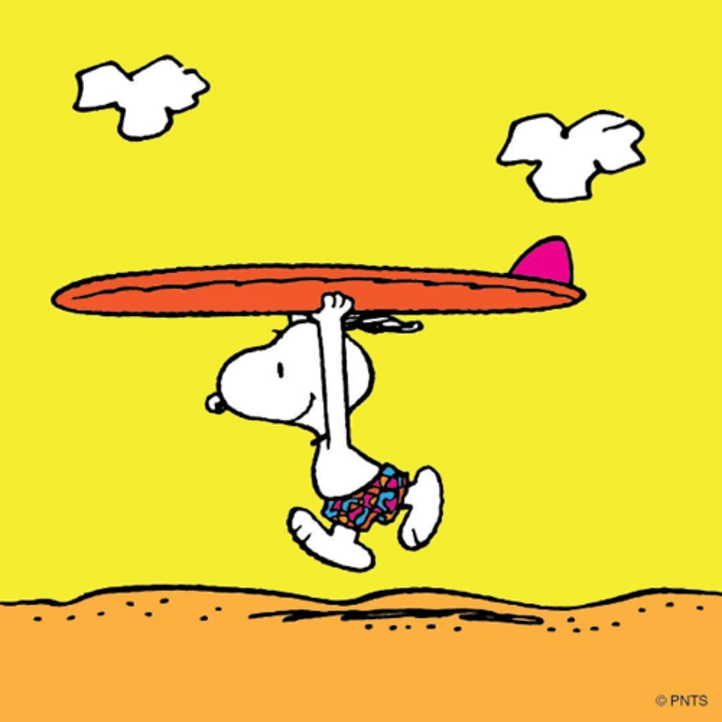 Sommer Snoopy 2. kl. Illustrasjon